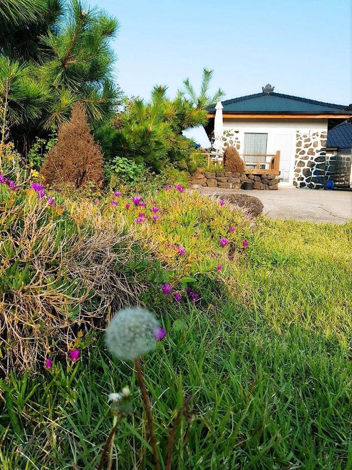Hadori Mindfulness Villa Чеджу Екстериор снимка